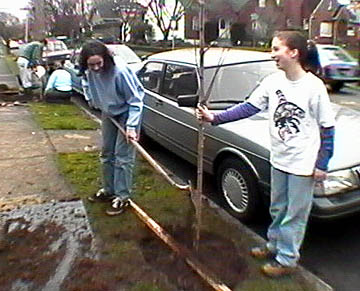 Volunteers plant new maple on SE20th Ave