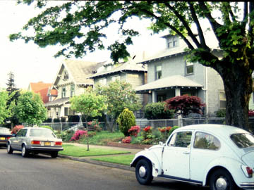 Mulberry Now (Save View)
