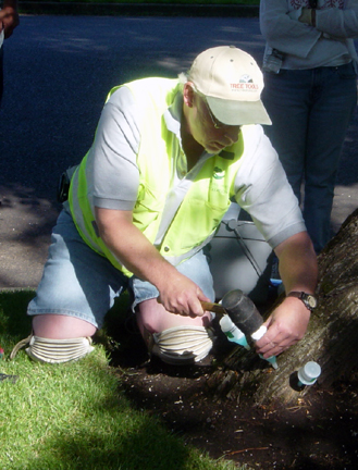 INJ2006_12