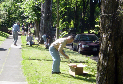 INJ2006_15