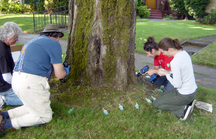 INJ2006_19