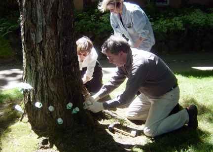 INJ2006_30