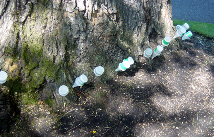 INJ2006_38
