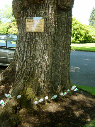 INJ2006_39